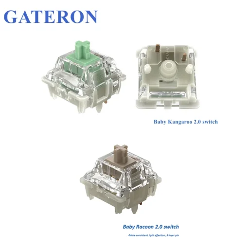 מתג Gateron Baby Kangaroo2.0 ב-Racoon 5Pin